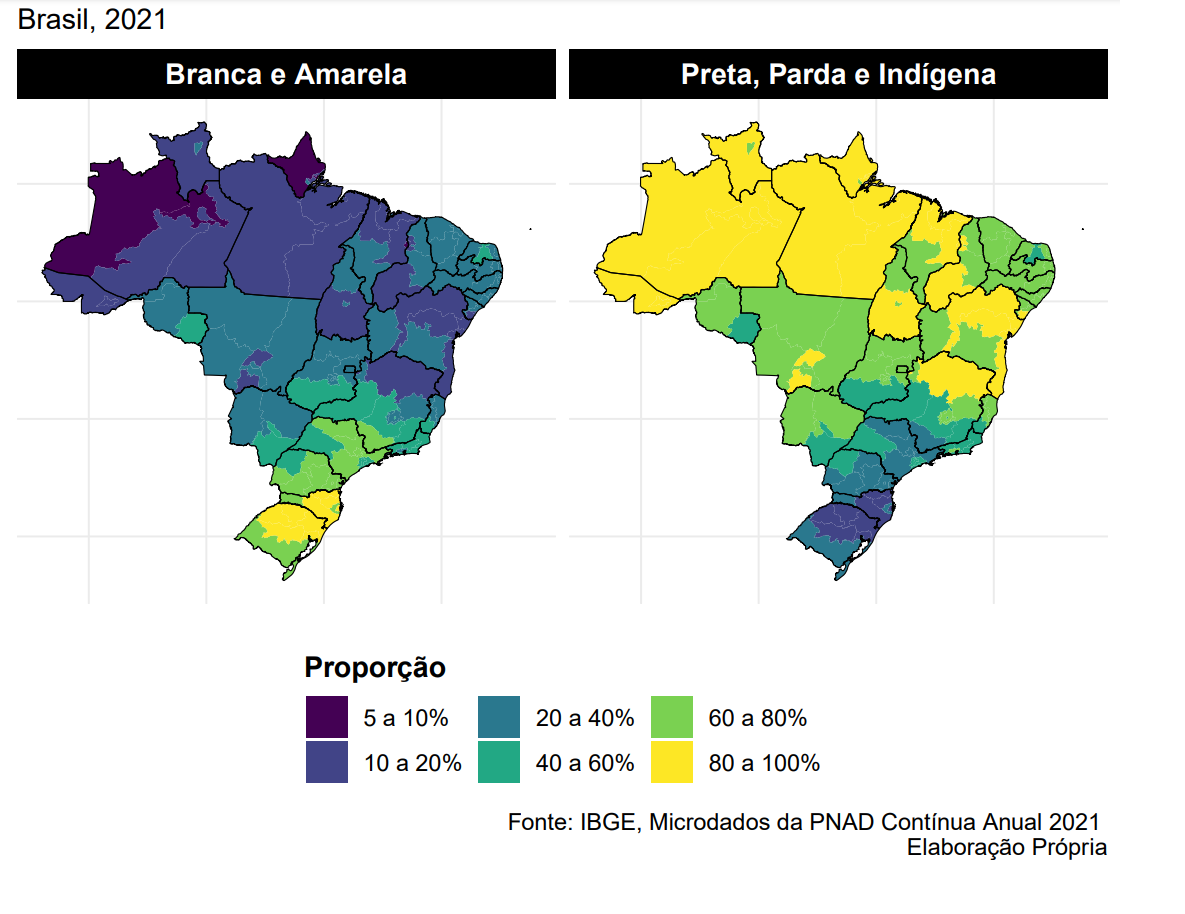 Relatório das Desigualdades Raciais | gemaa
